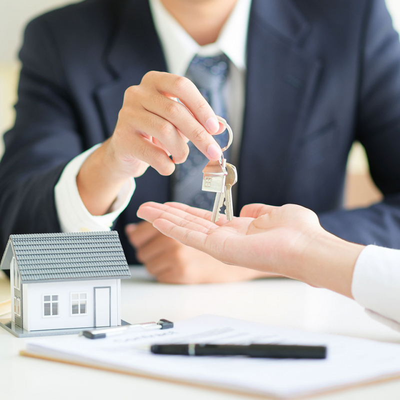 image-16-ovlyiavv70w43nx6vhn6yefqxmollfg78l51gkcnr4